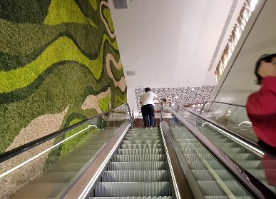 电梯永生苔藓植物墙