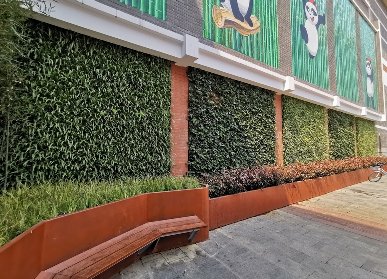 成都绿色植物墙
