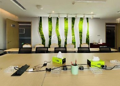 会议室植物墙