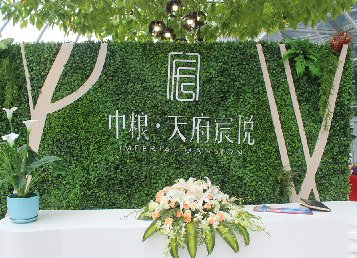 凯德天府垂直绿化植物墙案例