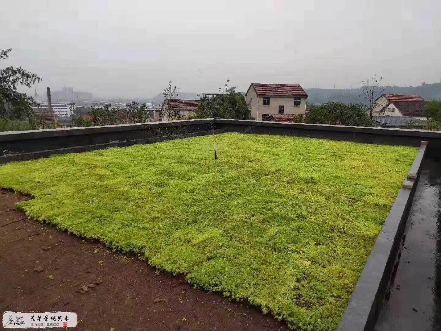 农庄屋顶绿化