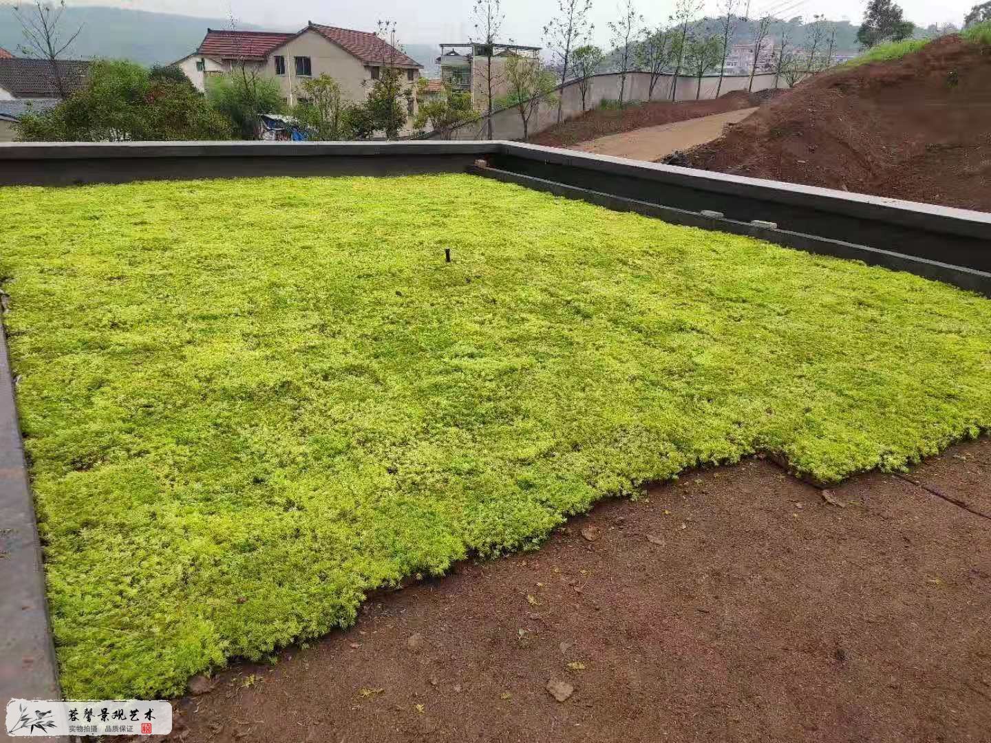 农庄屋顶绿化