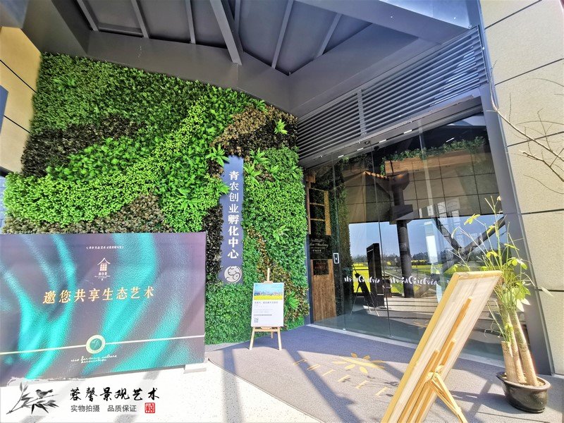 青农创业孵化中心植物墙