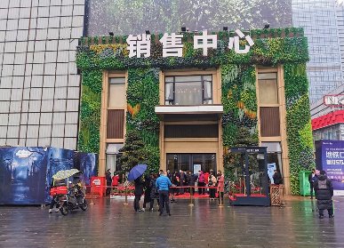 珠江新城售楼部植物墙