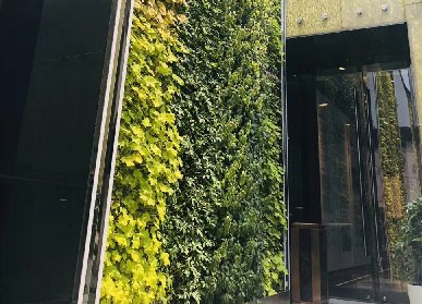 誉峰IPC室外垂直绿化植物墙