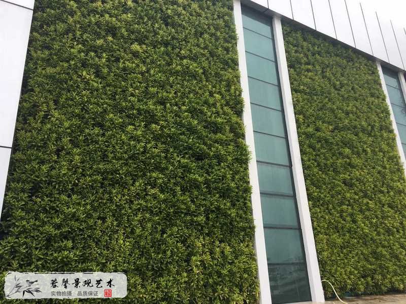 惠州名扬城外垂直绿化