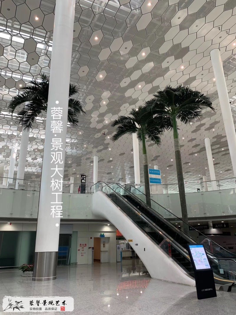 深圳机场仿真椰子树