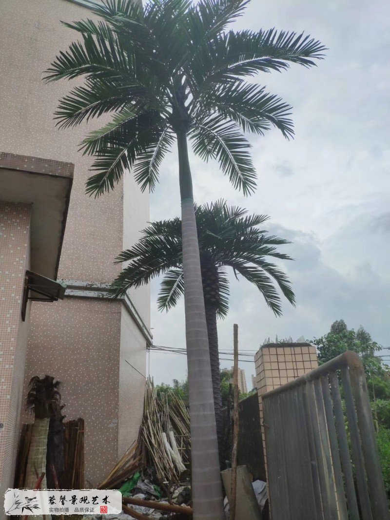 小区仿真椰子树