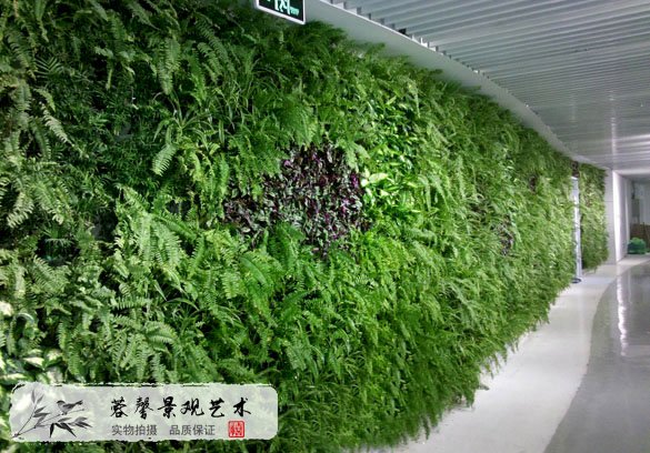 植物造型墙