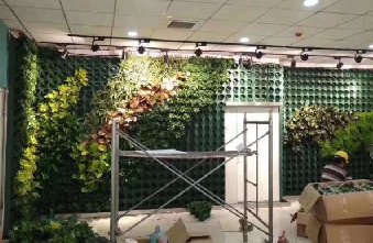 成都室内植物墙