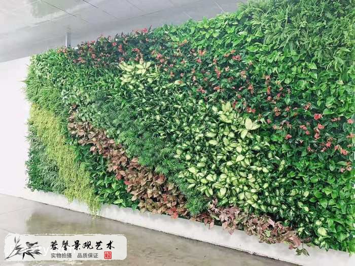 成都植物装饰墙