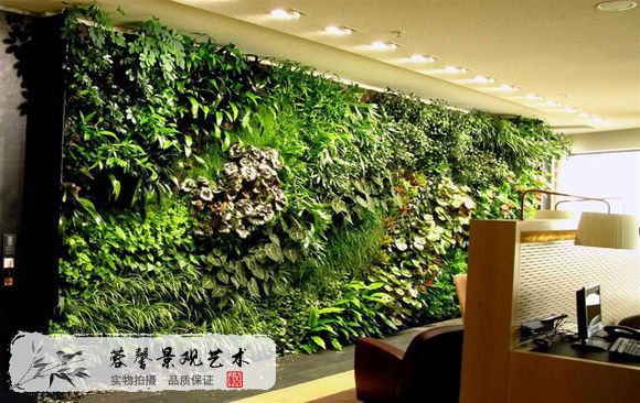 工装植物墙设计