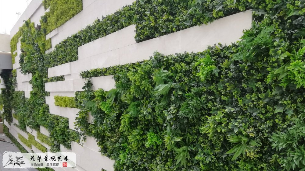 成都植物绿化墙