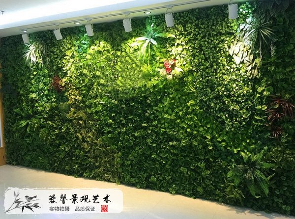 室内植物墙补光