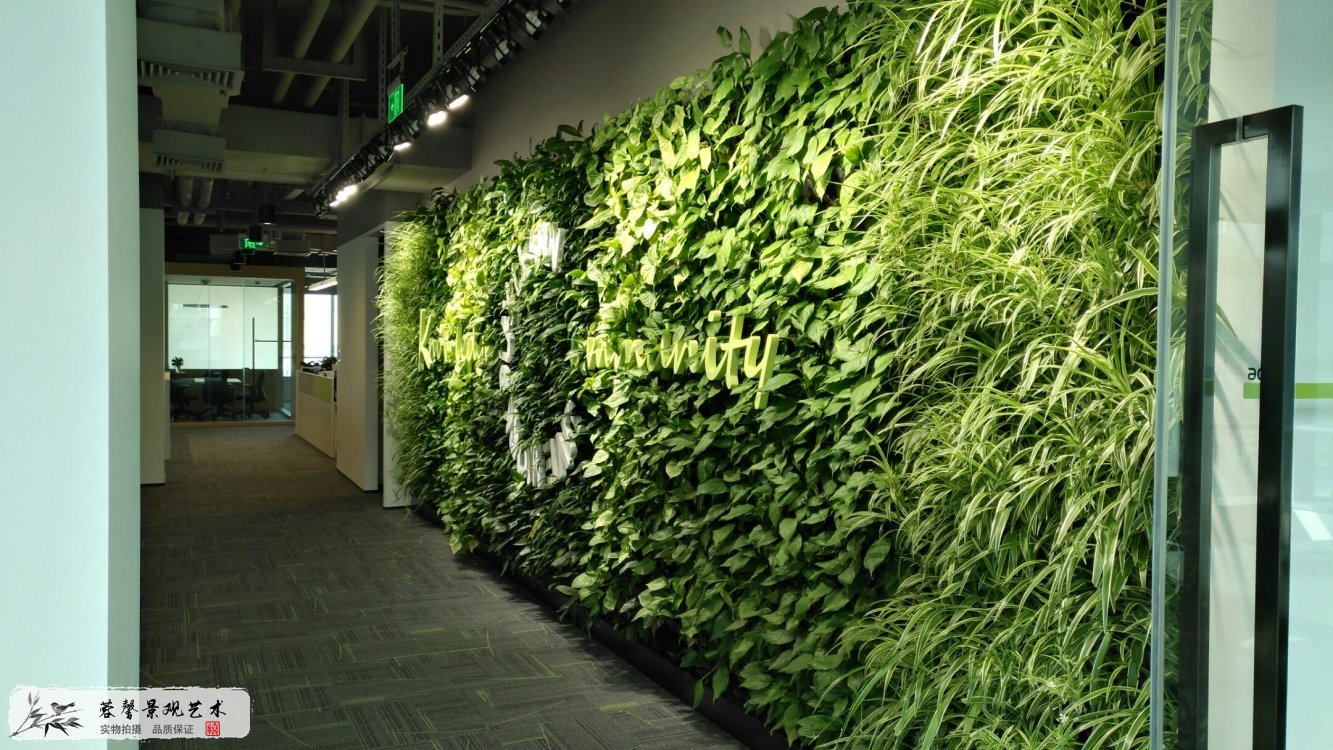 室内植物墙的设计和好处