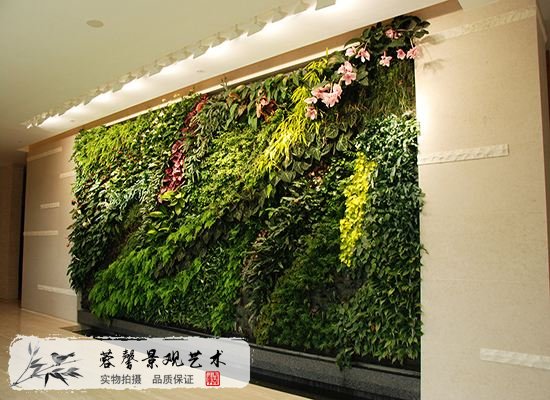 室内植物墙的设计和好处