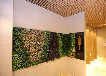 室内植物墙设计公司