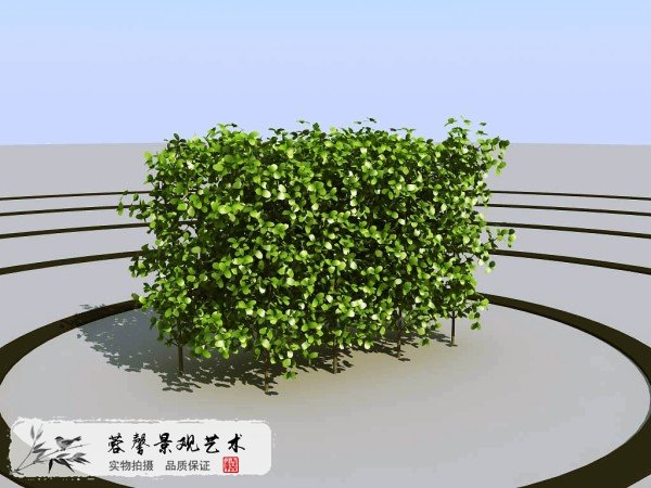 现代植物墙饰3d模型