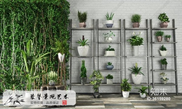 现代植物墙饰3d模型