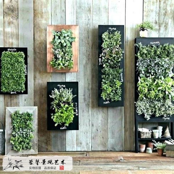 植物墙植物过度生长