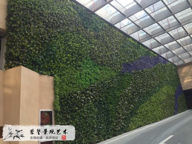 植物墙维护