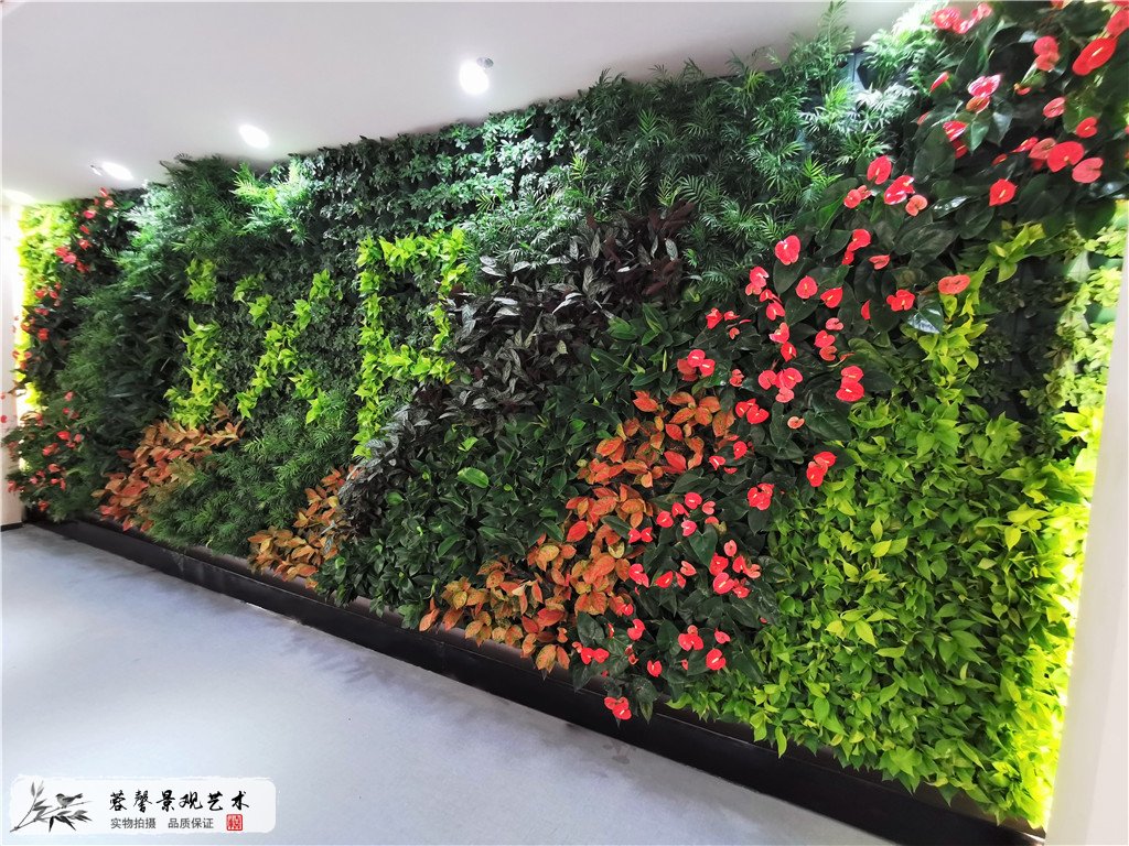 生态绿墙 植物墙