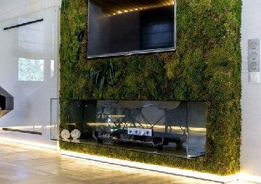 电视背景苔藓植物墙