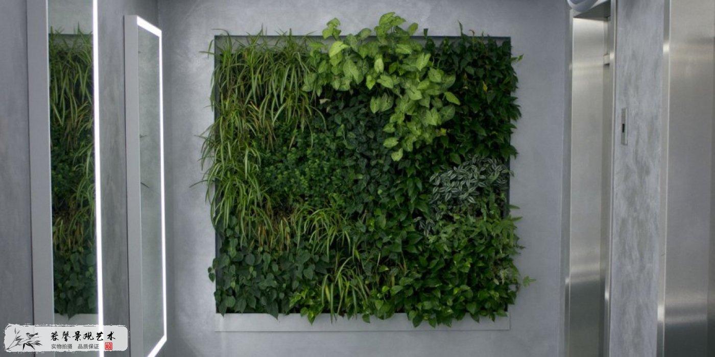人居环境植物墙