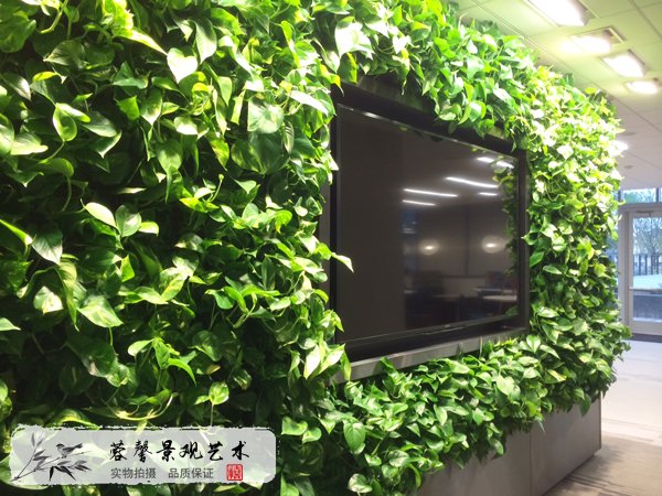 电视背景植物墙设计，绿萝编织，缓解视疲劳