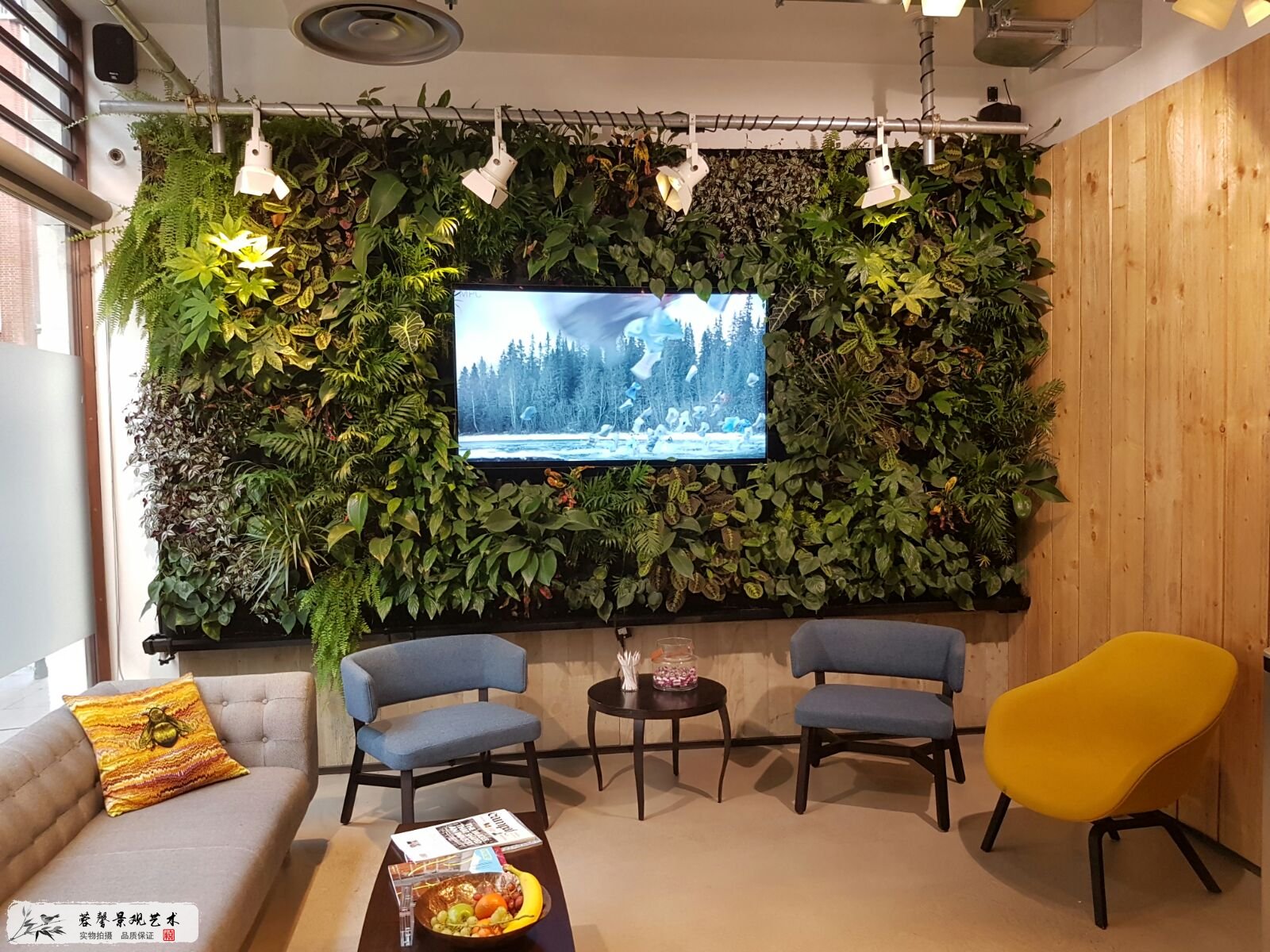 智能电视背景植物墙设计，自动灌溉，室内的垂直花园