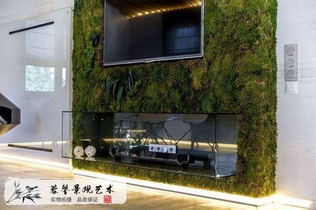 电视背景苔藓植物墙，时尚自然，简约清新