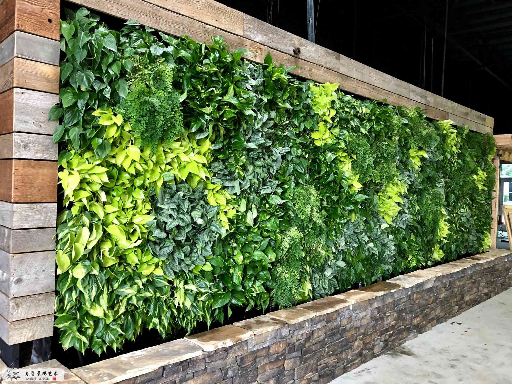 仿真植物墙与真植物墙怎么选