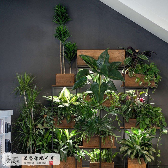 花箱式植物墙
