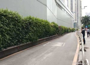 高速通道垂直绿化植物墙