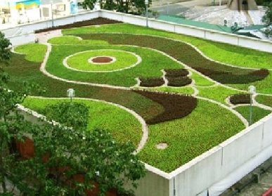 房地产屋顶绿化