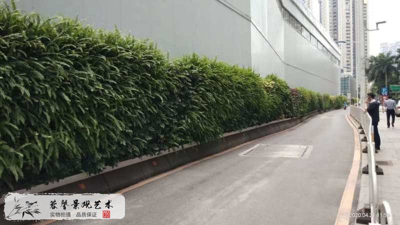 市政高速通道墙体围挡垂直绿化植物墙