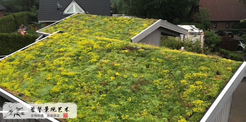 住宅屋顶绿化