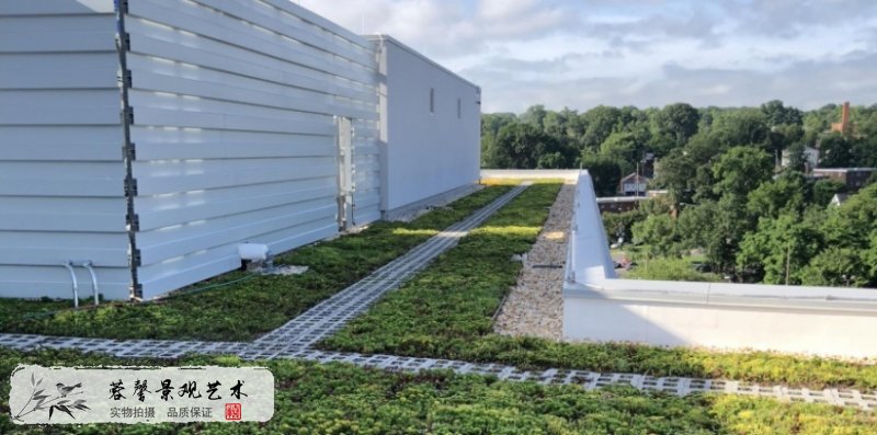 收容所屋顶绿化