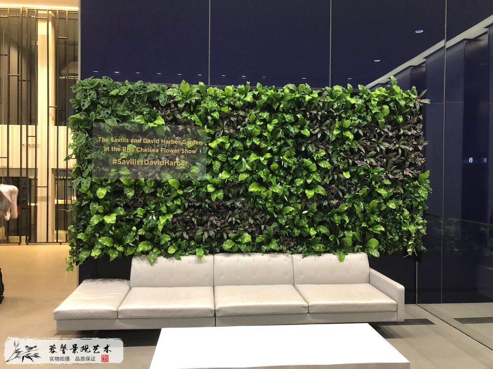 制作植物墙好处