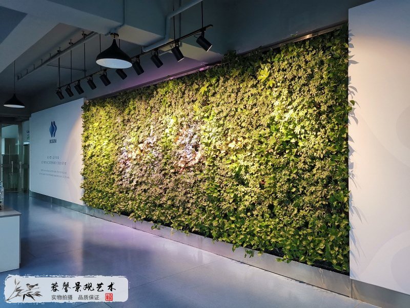 企业文化墙植物墙