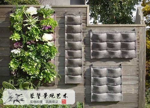 自制植物墙
