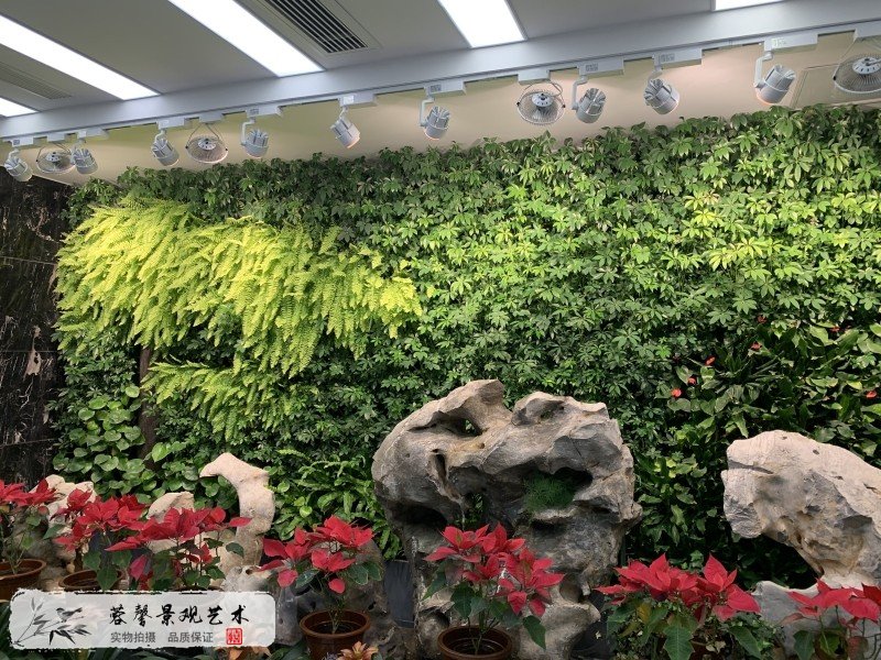 银行办公室形象植物墙
