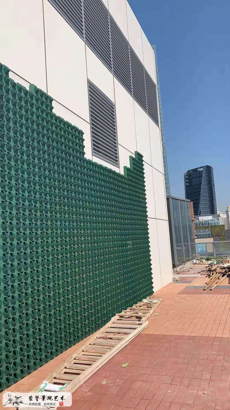 珠海横琴华发广场楼顶露台墙体垂直绿化植物墙