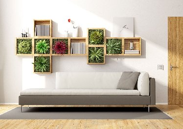 室内垂直绿化植物墙