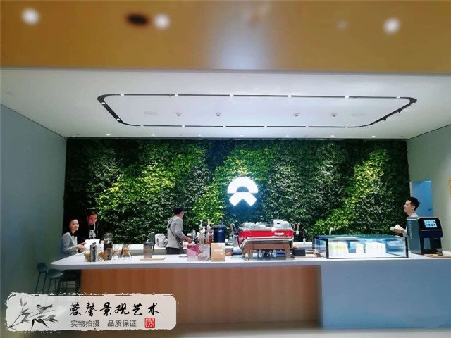 室内垂直绿化植物墙做法
