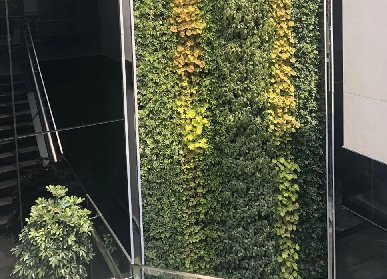 高端植物墙设计