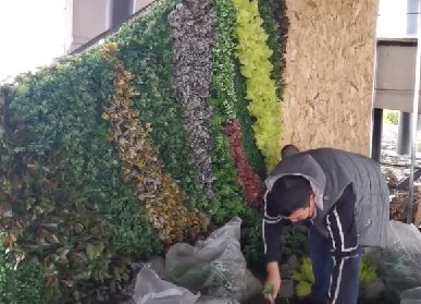 植物墙安装教程