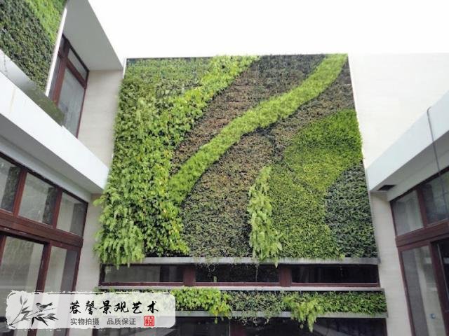 墙体垂直绿化