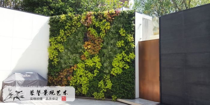室外植物墙多少钱