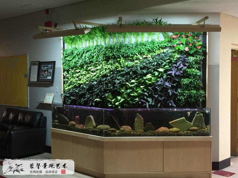鱼缸植物墙